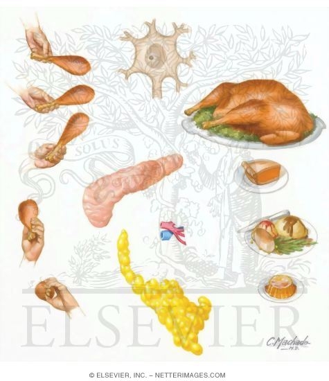 Watermarked preview of unlabeled image: Diet and Nutrition