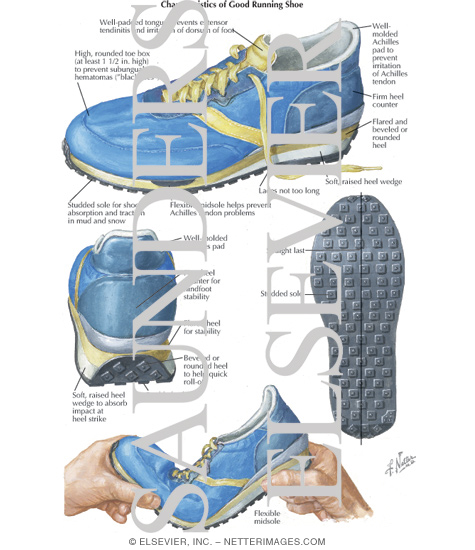 Characteristics of a Good Running Shoe