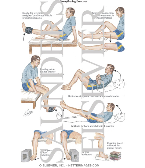 Strengthening Exercises