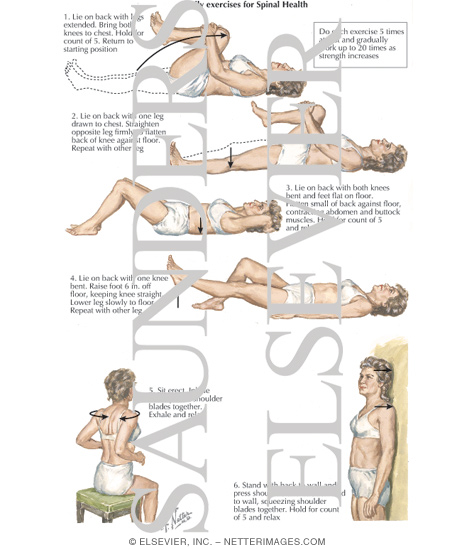 Exercises for Spine Health To Be Done Daily