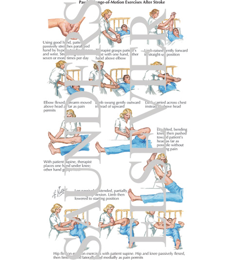 Physical Exam of Thigh, Hip Flexion, and Straight Leg Test