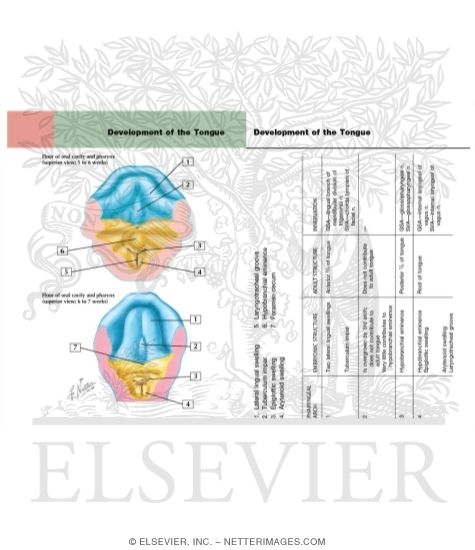 free Advances and Technical Standards in Neurosurgery: Volume