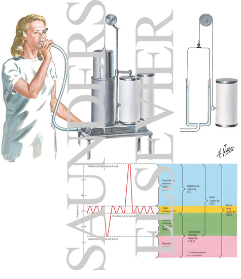 Spirometry: Lung Volumes and Subdivisions