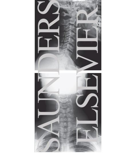Watermarked preview of unlabeled image: Radiographic Anatomy of the Cervical Spine