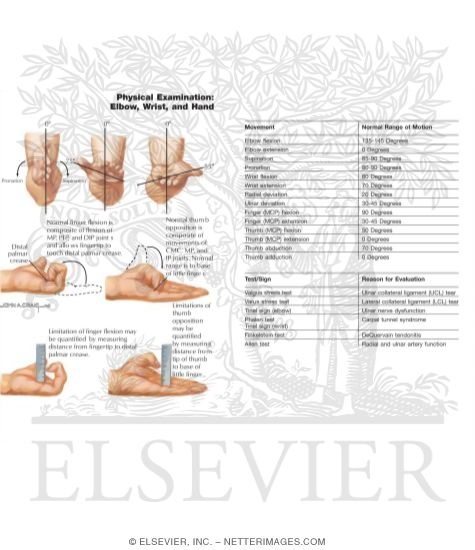 Physical Examination: Elbow, Wrist, and Hand