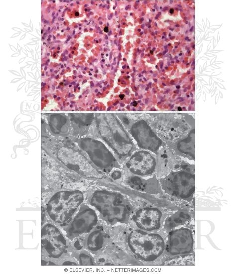 Watermarked preview of unlabeled image: Red Pulp