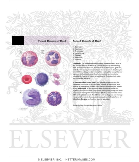 Formed Elements of Blood
