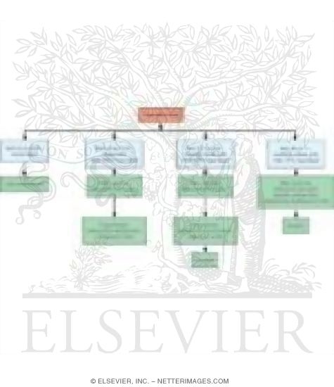 Watermarked preview of unlabeled image: Treatment of Obesity