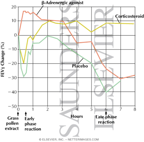 Watermarked preview of labeled image: Asthma