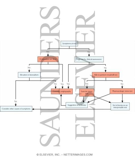 Watermarked preview of labeled image: Assumptions for Diagnostic Algorithm In Disorders of the Cardiovascular System