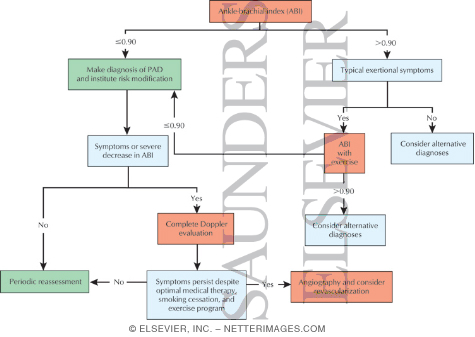 Watermarked preview of labeled image: Evaluation of Suspected Peripheral Arterial Disease
