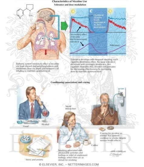 Watermarked preview of labeled image: Characteristics of Nicotine Use