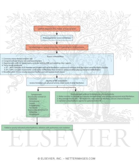 Watermarked preview of unlabeled image: Long Term Management of Paroxysmal Atrial Fibrillation