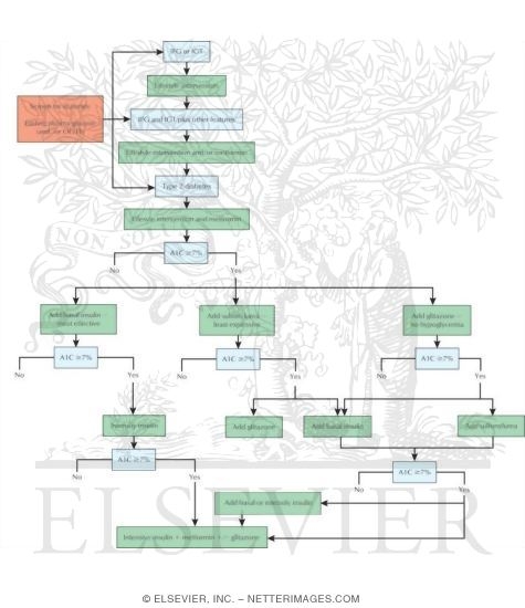 Watermarked preview of unlabeled image: Algorithm for Care of People With Prediabetes and Diabetes