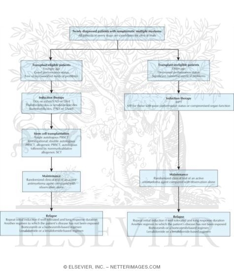 A Current Treatment Algorithm for Multiple Myeloma