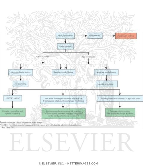 Algorithm for Colorectal Cancer Screening