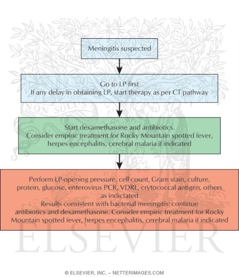 meningitis diagnosis