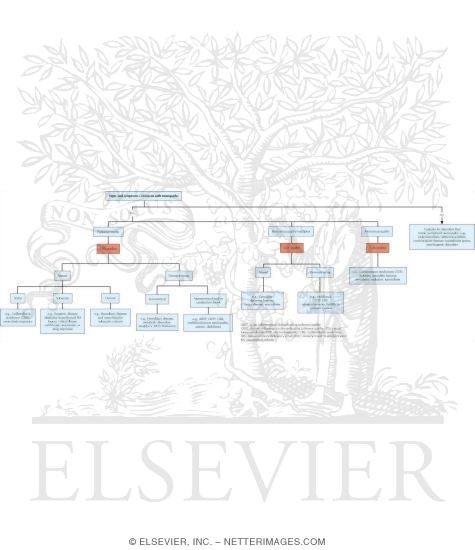 Watermarked preview of unlabeled image: Peripheral Neuropathy Caused By Heavy-Metal Poisoning