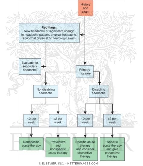 Watermarked preview of unlabeled image: Approach to Migraine Treatment