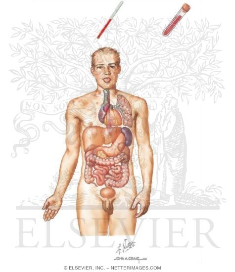 Watermarked preview of unlabeled image: Patient Evaluation and Clinical Presentation