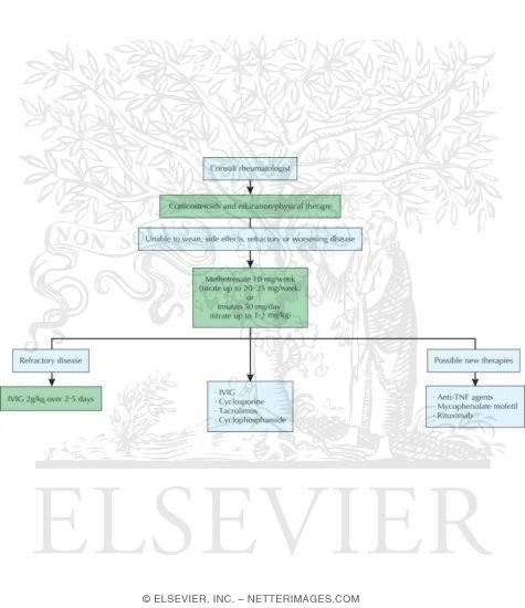 Treatment Paradigm for Polymyositis and Dermatomyositis
