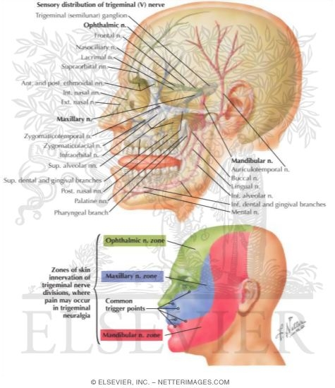 Trigeminal Neuralgia
 