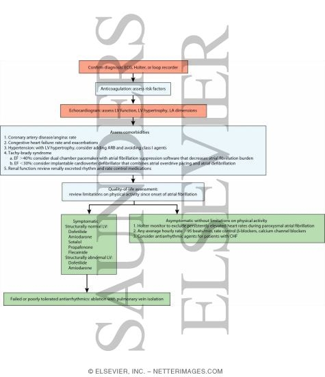 Long Term Management of Paroxysmal Atrial Fibrillation