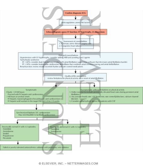 Watermarked preview of labeled image: Long-term Management of Persistent Atrial Fibrillation