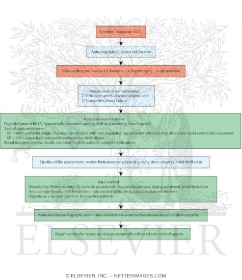 Long-term Management of Permanent Atrial Fibrillation