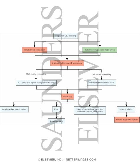 Watermarked preview of labeled image: Acute Upper Gastrointestinal Bleeding