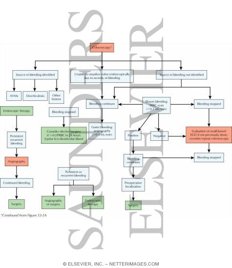Acute Lower Gastrointestinal Bleeding