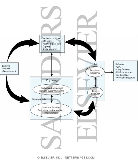 Watermarked preview of labeled image: Irritable Bowel Syndrome: Brain-gut Axis