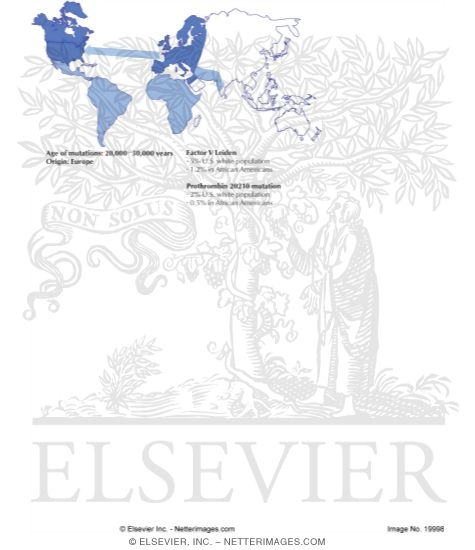 Watermarked preview of labeled image: Factor V Leiden and Prothrombin 20210 Mutations
