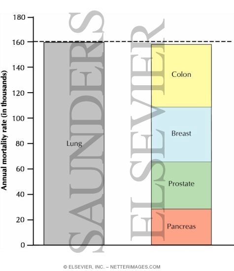 Watermarked preview of labeled image: Annual Mortality Rate In Oncologic Disorders (in Thousands)