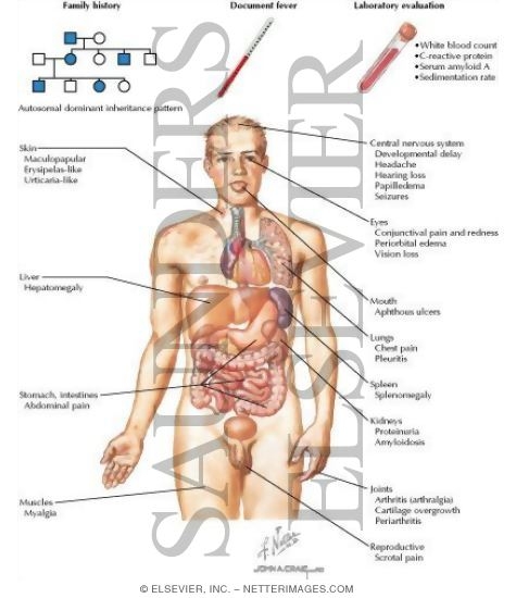 Watermarked preview of labeled image: Patient Evaluation and Clinical Presentation