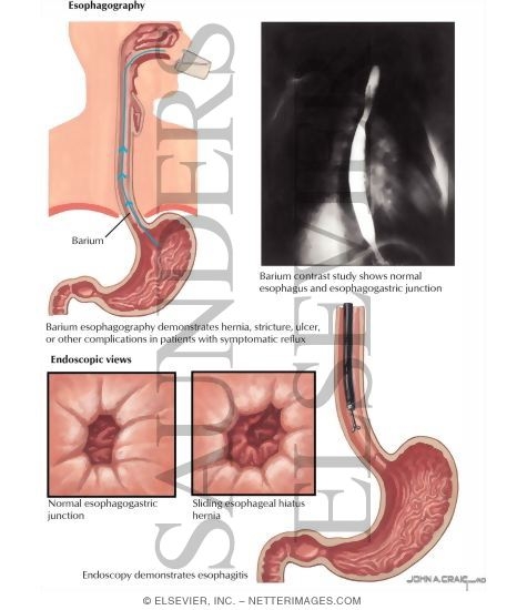 Watermarked preview of labeled image: Diagnostic Techniques