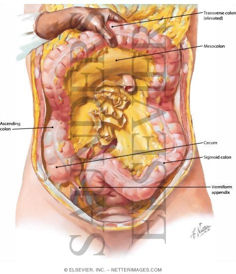 Appendix