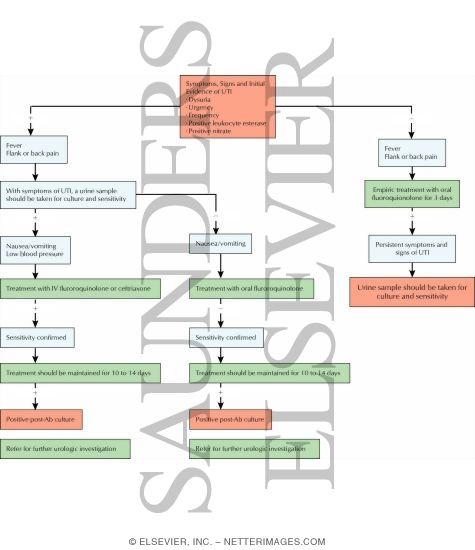 Algorithm for Treatmen...