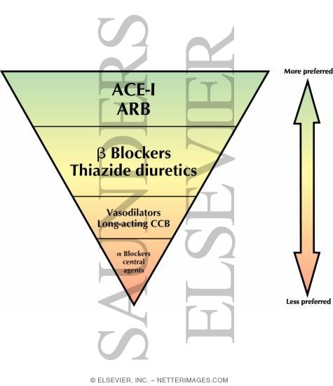 Watermarked preview of labeled image: Preferred Agents for the Treatment of Hypertension In Chronic Kidney Diseasea