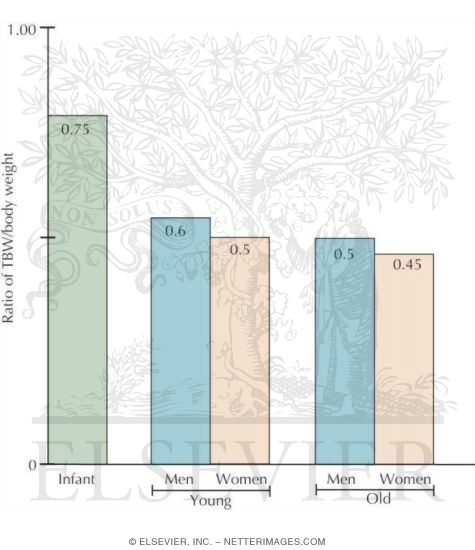 Total Body Water As Function of Body Weight