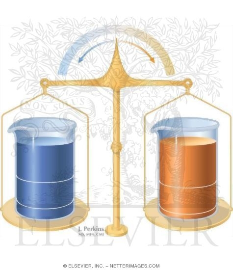 Net Fluid Balance In Fluid Homeostasis