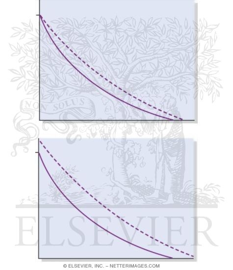 Watermarked preview of unlabeled image: Force-Velocity Relationship In Cardiac Muscle