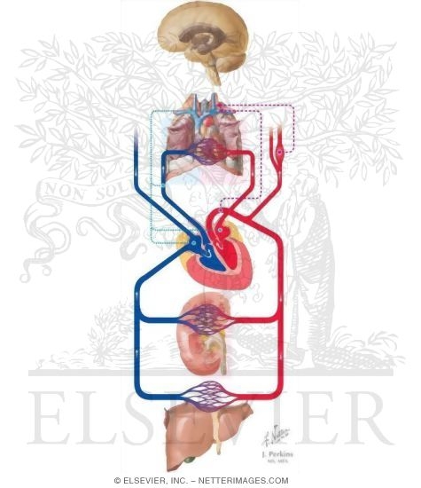 Watermarked preview of unlabeled image: Monitoring of Blood Pressure