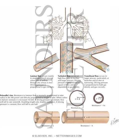 Patterns of Airflow