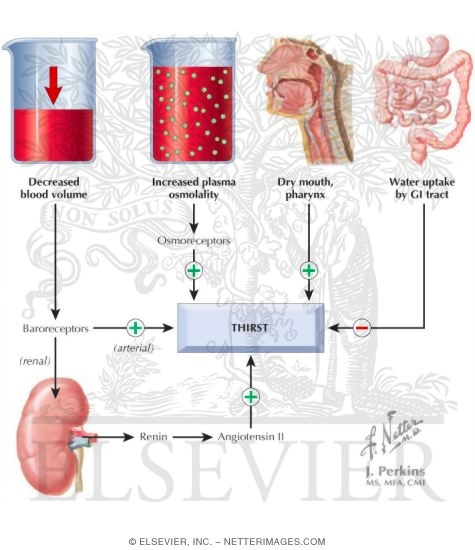 Watermarked preview of labeled image: Thirst