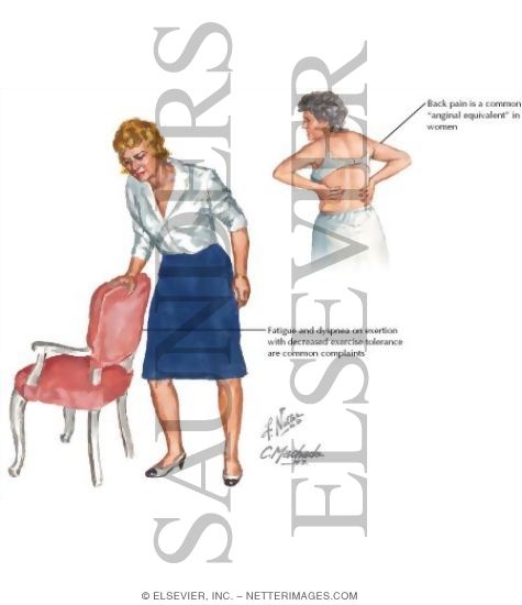 Watermarked preview of labeled image: Health Maintenance In Women: Ages 65 and Greater