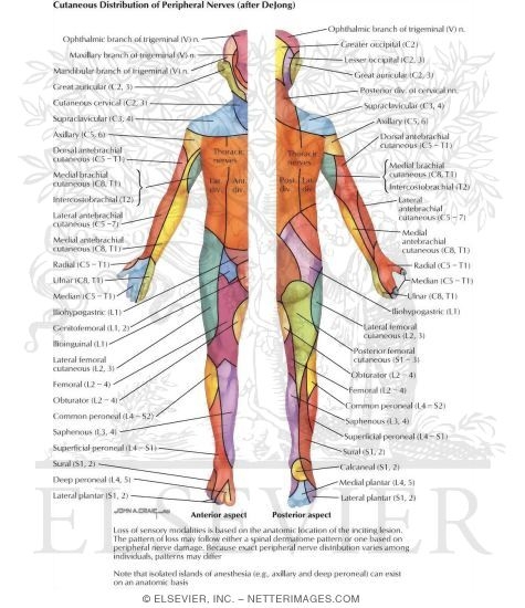 Hysterical Conversion Reactions: Cutaneous of Periferal Nerves After (Dejone)