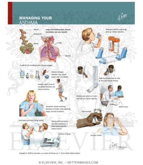 Watermarked preview of labeled image: Managing Your Asthma