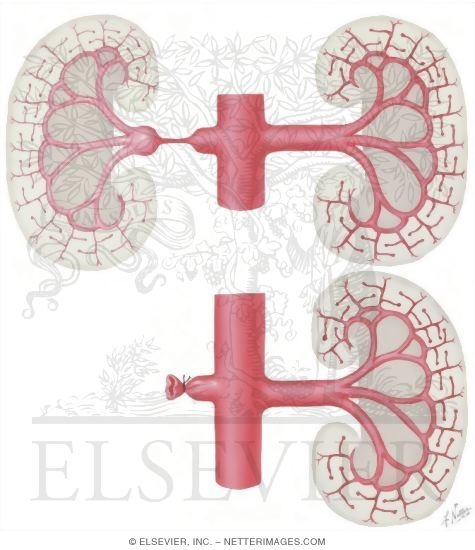 Watermarked preview of unlabeled image: Goldblatt Experiment