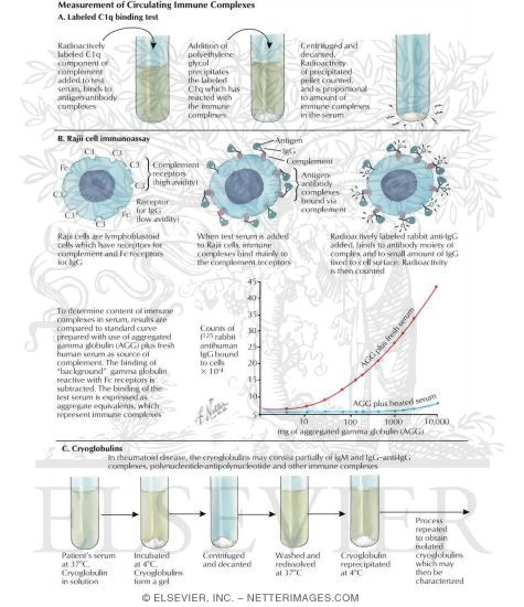Watermarked preview of labeled image: Measurement of Immune Complexes